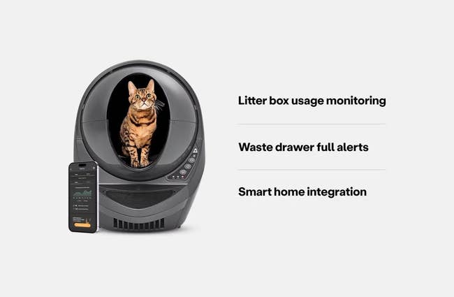 A feline  sits successful  a astute  litter container  adjacent  to a telephone  app displaying features similar  usage monitoring, discarded  alerts, and astute  location  integration