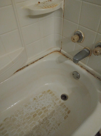 a reviewer's shower looking dirty