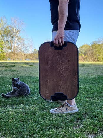 Person holding a wooden-patterned suitcase with a cat sitting on the grass nearby. Suitable for travel enthusiasts