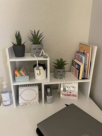 a reviewer's white shelves
