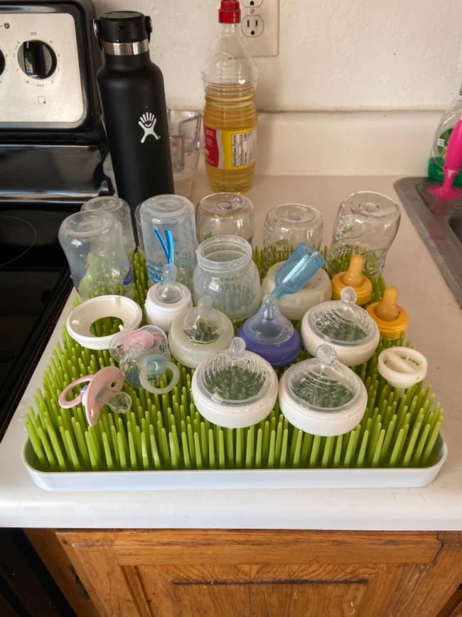 drying rack with white plastic base and spiky green plastic crass that balances bottles, nipples, pacifiers