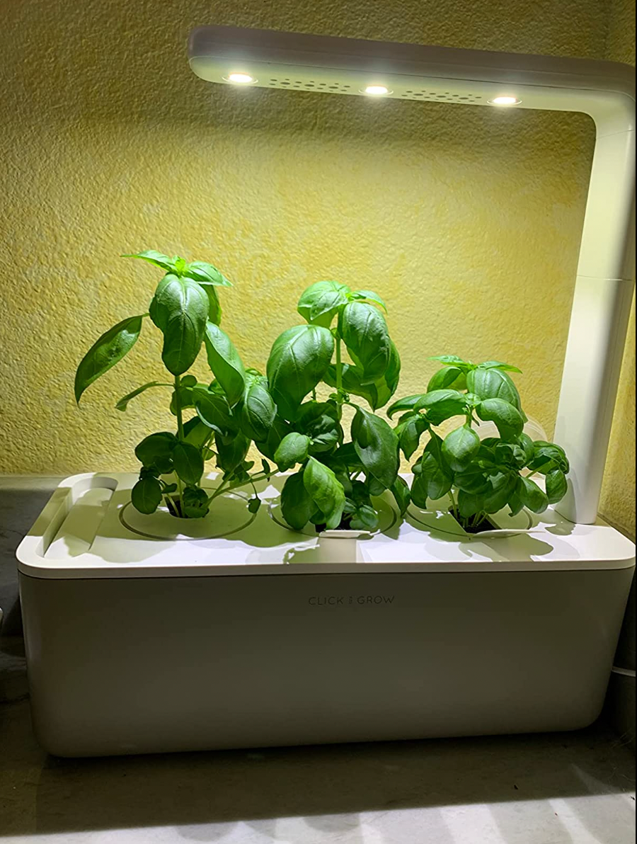 A white rectangle shaped planter with herbs growing toward the light fixture at the top of it 