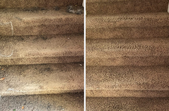 Close up of reviewer's brown stairs covered in hair and dirt / same stairs now clean