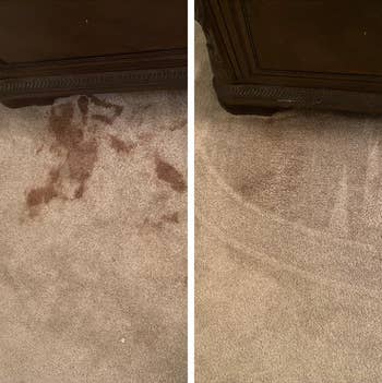 before and after of pet stains on carpet that have been removed by the bissell