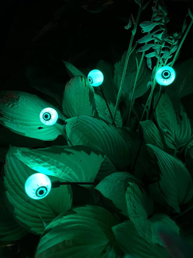 Close-up of respective glowing oculus plot lights acceptable among ample works leaves