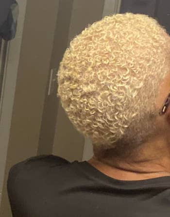 Back presumption of a idiosyncratic with short, tightly curled hair, wearing a achromatic top