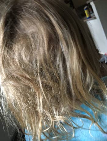 back of reviewer's child's head with messy tangled hair 