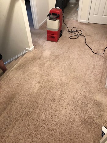 same reviewer's after photo showing the carpet without stains after being cleaned with the solution