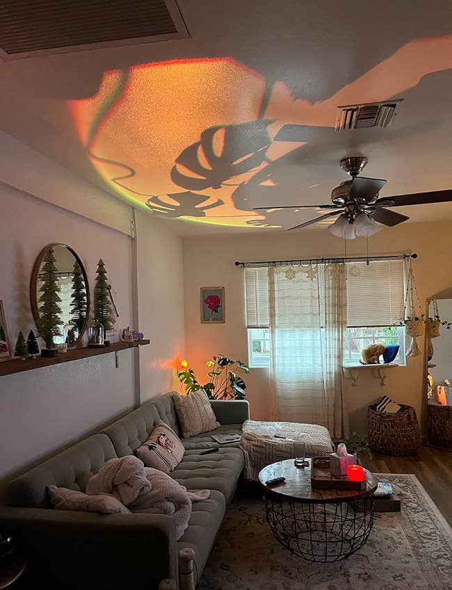 reviewer's living room with colorful sunset lighting