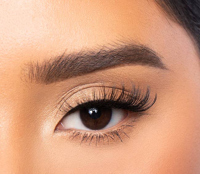 a closeup of a model wearing the chic lashes