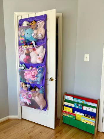 Door-mounted storage with stuffed animals and a book organizer with kids' books