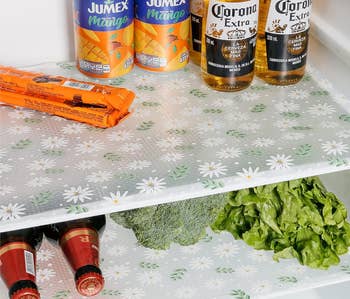 Fridge shelves lined with a transparent liner with a achromatic and greenish leafage and daisy people