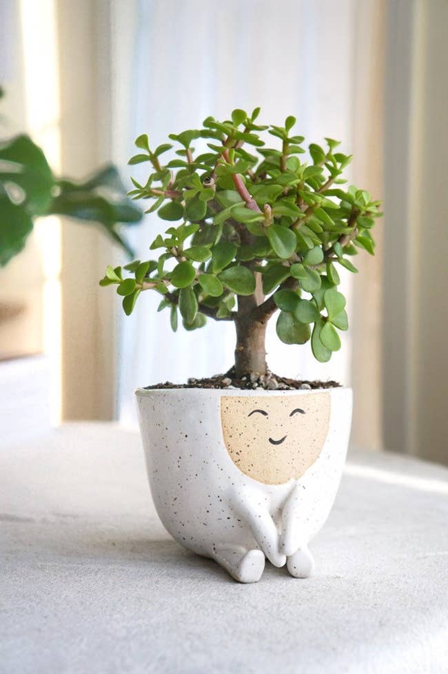 a planter with a smiley face, hands, and legs 