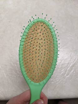 A reviewer's newly clean brush