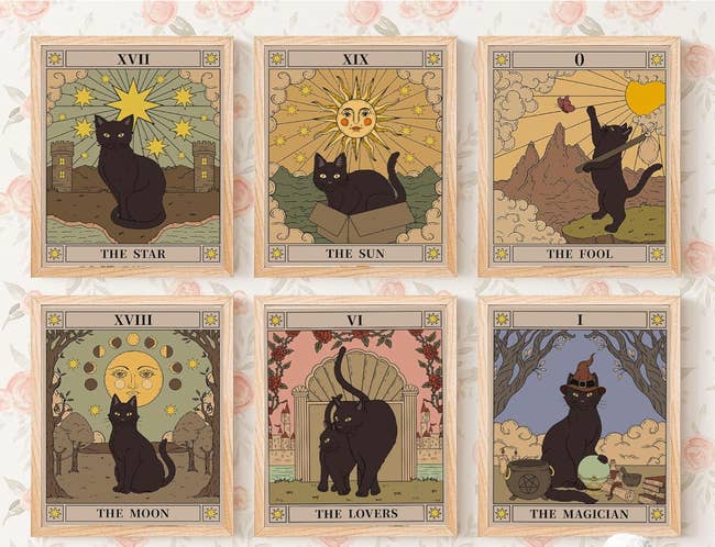 Six tarot card prints featuring cats in various poses hung up on a wall 