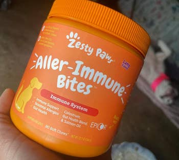 reviewer holding the orange jar of allergy bites