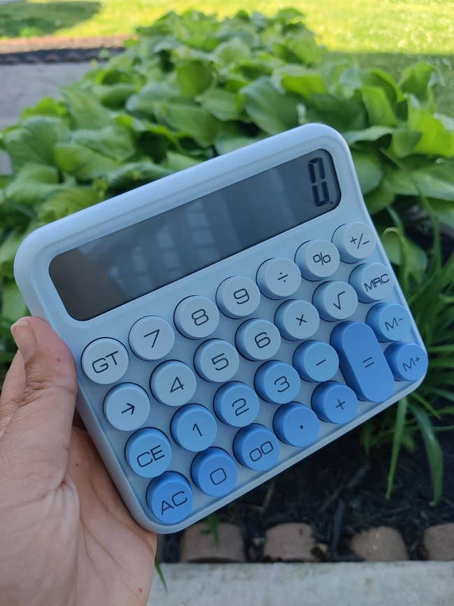 A manus holding a retro-inspired calculator with large, circular buttons and a wide show screen. The inheritance shows greenish foliage
