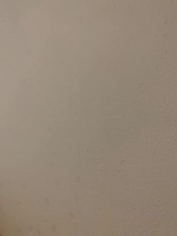 reviewer image after using the product of the same wall without any adhesive marks
