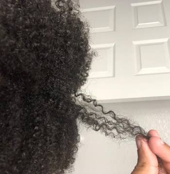 reviewer with 4c curls holding a strand of it out