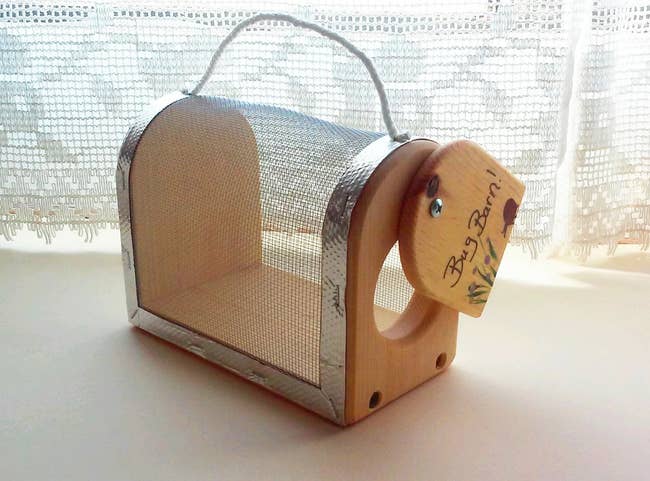 The personalized wooden bug case