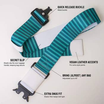The blue striped travel belt with its labeled features 