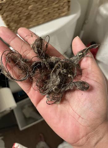 Person holding a clump of tangled hairsbreadth  and lint, perchance  from a vacuum oregon  cleaning task
