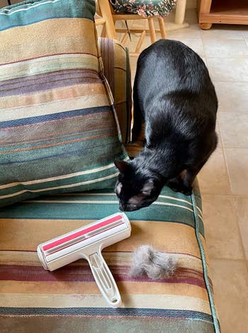 another reviewer photo of black cat next to the hair remover tool with a wad of hair 