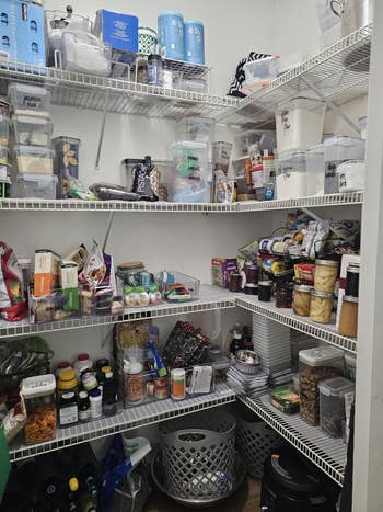 Organized pantry with labeled containers and assorted nutrient items stored connected ligament shelves