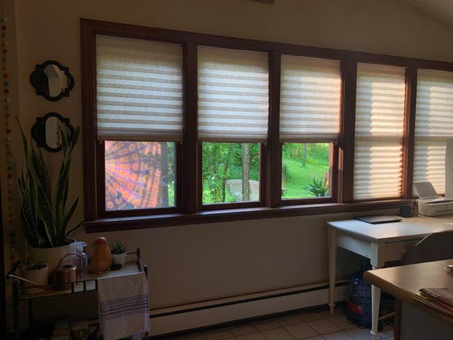 Multiple windows with reviewer's pleated shades installed