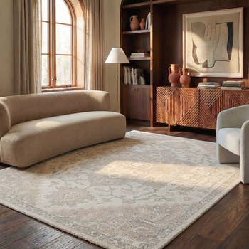 Elegant surviving  country   with a curved sofa, patterned rug, modern   armchair, bookshelves, and abstract creation  connected  the wall, showcasing location  decor style