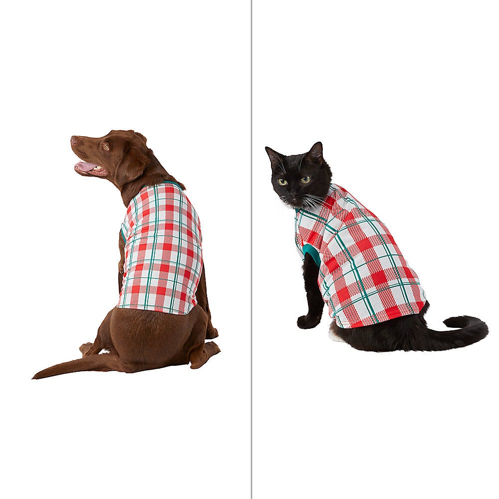dog and cat in plaid