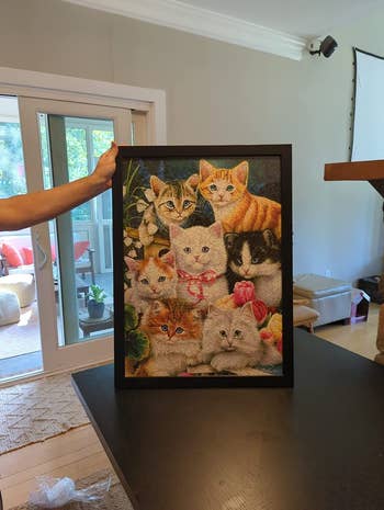 reviewer photo of a framed cat puzzle