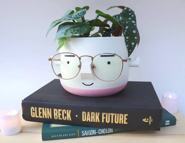 Charming works  cookware  with glasses and a smiling look   sits atop 2  books, 