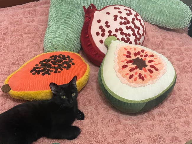 Black cat lying on a pink textured blanket near three fruit slice pillows: orange, red, and green. Cozy decor for home shopping