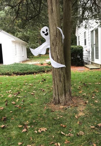 the ghost wrapped around a tree
