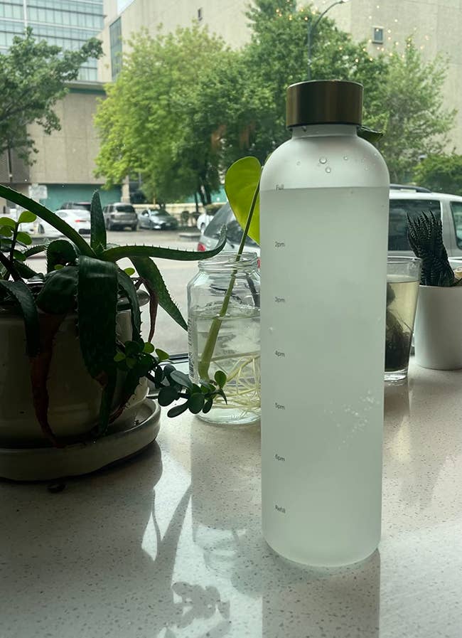 A clear water bottle with volume markings is placed on a countertop, surrounded by potted plants near a window with an urban view