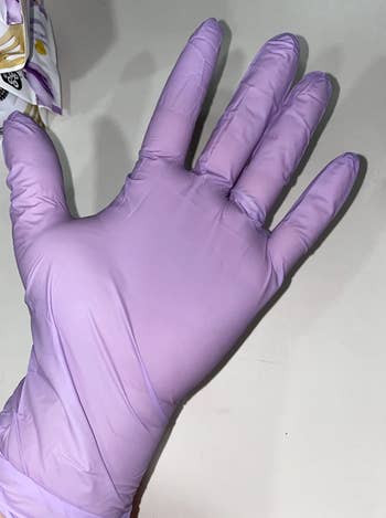 reviewer wearing purple plastic glove 