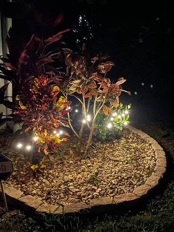 a reviewer's image of the thin solar lights in their garden