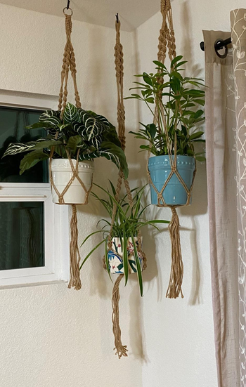 Reviewer image of three plant hangers