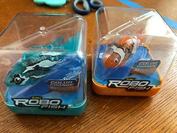 A blue goldfish and an orange goldfish in separate packages 