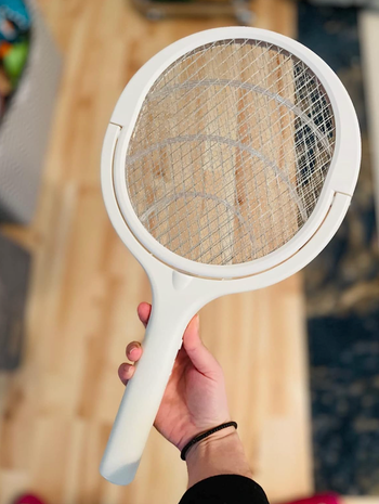 Reviewer holding paddle-shaped white fly zapper with mesh net 