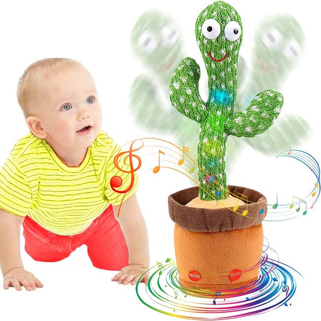 A baby crawling to the dancing cactus