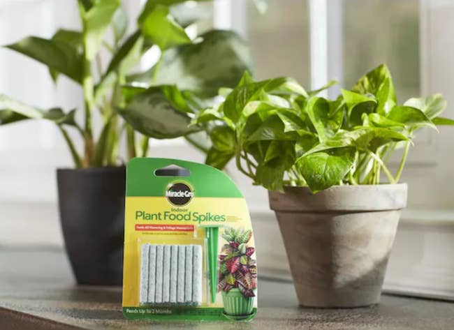 package of Plant Food Spikes next to plants