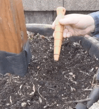 a gif of someone using a garden dibbler to dig holes for bulbs