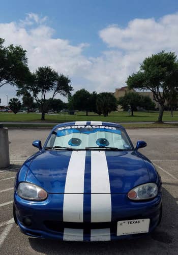 reviewer's car with windshield shade that looks like eyeballs 