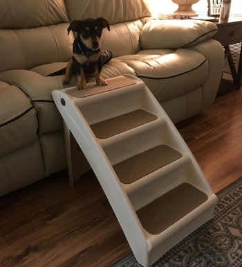 Reviewer image of side view of product connecting to leather couch and puppy sitting on couch