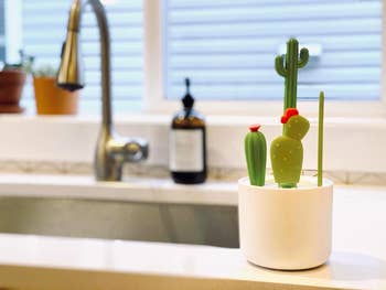 reviewer's bottle brushes shaped like cacti