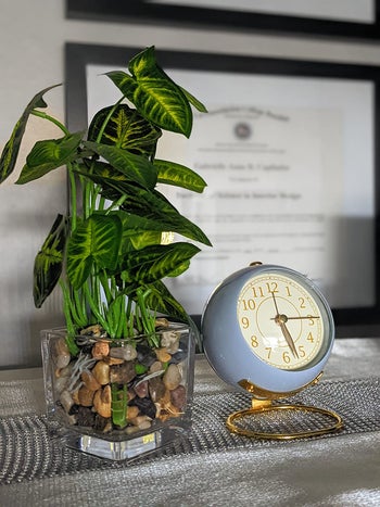 reviewer's blue clock next to a small plant