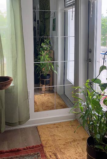 Mirror leaning against a wall reflecting a room with plants and a chair, suitable for home decor ideas