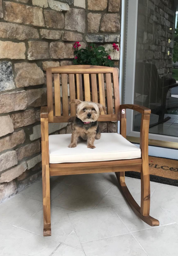 Reviewer image of wooden narrow slatted rocking chair with white cushion and puppy sitting on top of it